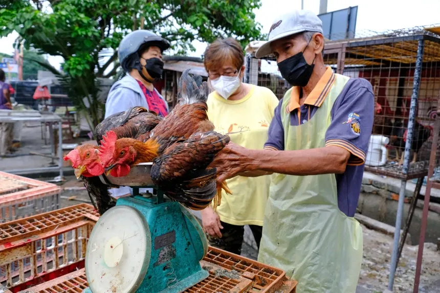Lệnh cấm của Malaysia làm rúng động ngành cơm gà Singapore Lệnh cấm của Malaysia làm rúng động ngành cơm gà Singapore
