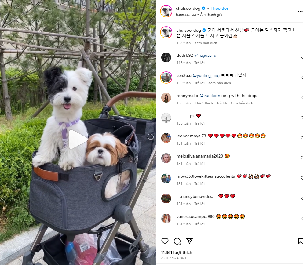 Tải video instagram đơn giản không phải ai cũng biết Tải video instagram đơn giản không phải ai cũng biết