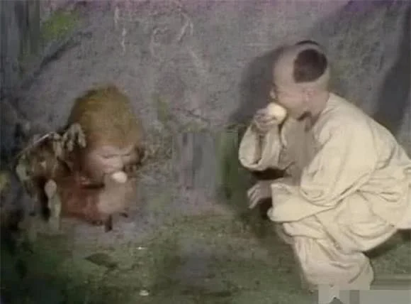 Tôn Ngộ Không bị giam dưới Ngũ Hành Sơn 500 năm, 1 đứa trẻ hay mang đào đến cho đại thánh ăn, đó là ai? Tôn Ngộ Không bị giam dưới Ngũ Hành Sơn 500 năm, 1 đứa trẻ hay mang đào đến cho đại thánh ăn, đó là ai?