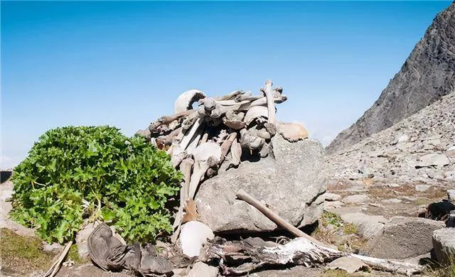 Tuyết tan trên dãy Himalaya, hàng trăm xác người xuất hiện dưới đáy hồ   Tuyết tan trên dãy Himalaya, hàng trăm xác người xuất hiện dưới đáy hồ