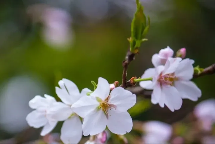 Tháng 12/2022 ba con giáp này từ suy sang vượng, vận may ập xuống, sự nghiệp ổn định Tháng 12/2022 ba con giáp này từ suy sang vượng, vận may ập xuống, sự nghiệp ổn định