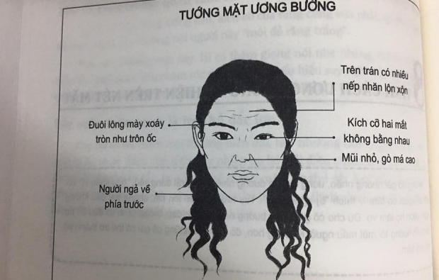 Tướng mặt phụ nữ phú quý, may mắn, hay tai quái, hiểm độc… Tướng mặt phụ nữ phú quý, may mắn, hay tai quái, hiểm độc…