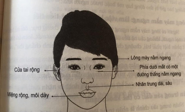 Tướng mặt phụ nữ phú quý, may mắn, hay tai quái, hiểm độc… Tướng mặt phụ nữ phú quý, may mắn, hay tai quái, hiểm độc…