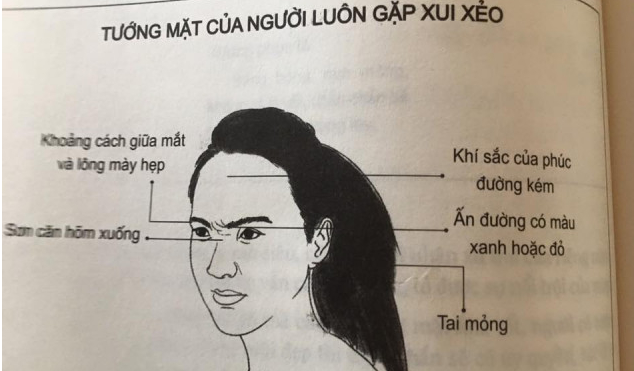 Tướng mặt phụ nữ phú quý, may mắn, hay tai quái, hiểm độc… Tướng mặt phụ nữ phú quý, may mắn, hay tai quái, hiểm độc…