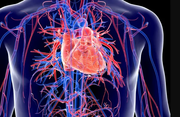 Khỏi Covid-19, nhiều người vẫn đối mặt với nguy cơ cao mắc bệnh tim trong tương lai Khỏi Covid-19, nhiều người vẫn đối mặt với nguy cơ cao mắc bệnh tim trong tương lai