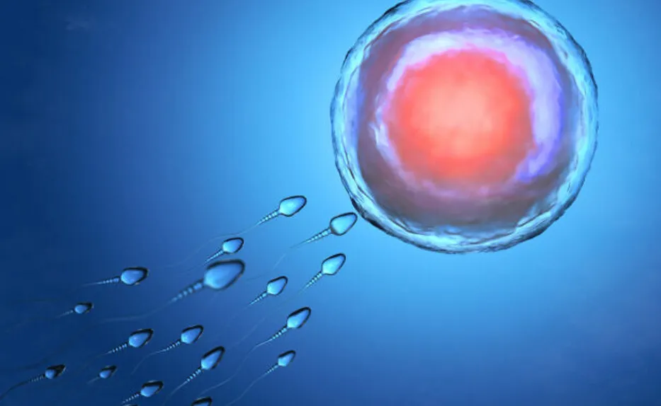 Thuốc chống virus có thể giúp “trẻ hóa” những quả trứng già ở phụ nữ? Thuốc chống virus có thể giúp “trẻ hóa” những quả trứng già ở phụ nữ?