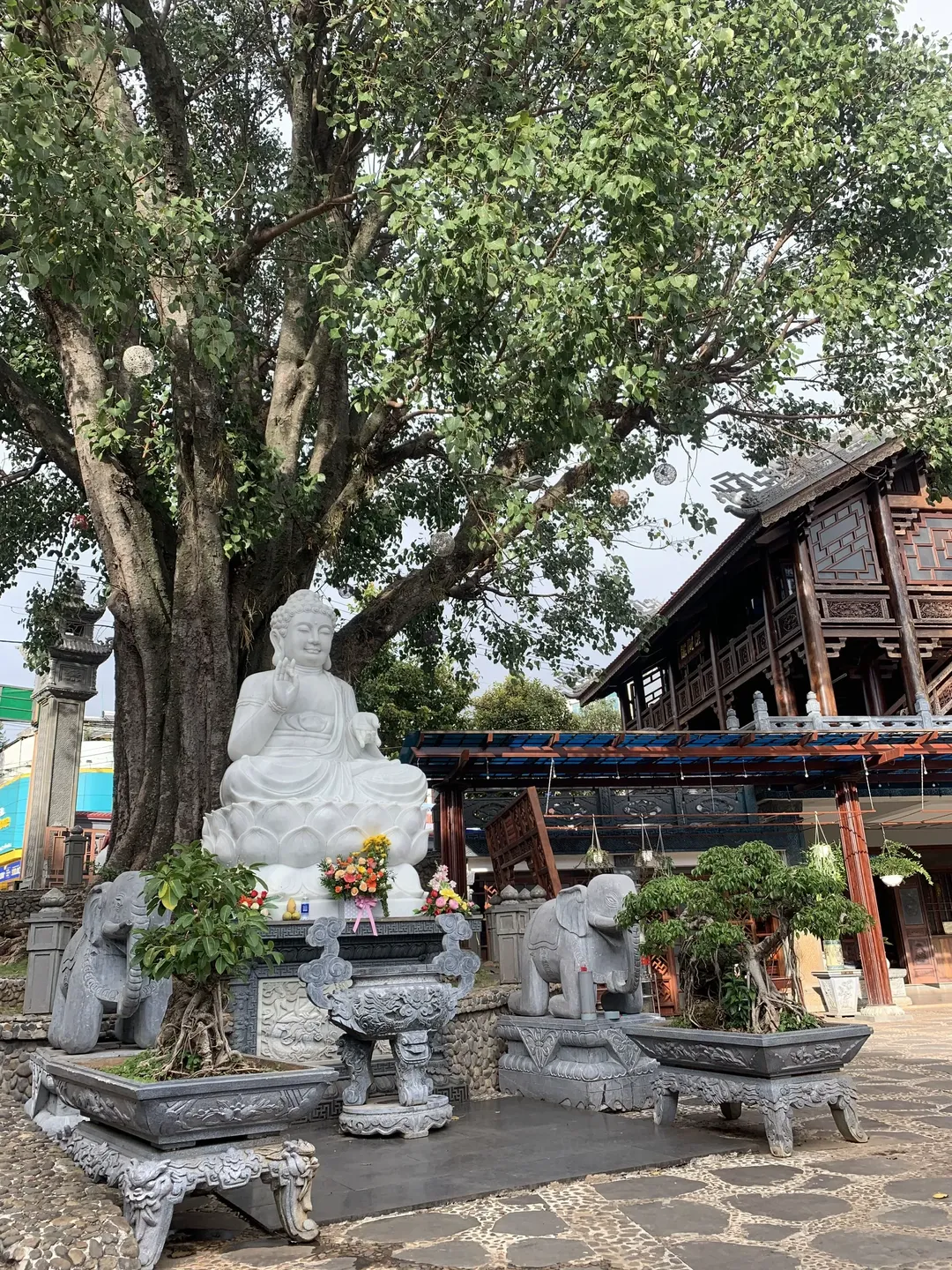 Kinh nghiệm du lịch Tây Nguyên ngon, bổ, rẻ (Phần 1) Kinh nghiệm du lịch Tây Nguyên ngon, bổ, rẻ (Phần 1)