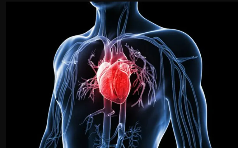 Liên kết chặt chẽ giữa trái tim và bộ não mà chính bạn cũng không ngờ Liên kết chặt chẽ giữa trái tim và bộ não mà chính bạn cũng không ngờ