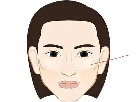 Xem tướng phụ nữ thông minh, thành công trong cuộc sống Xem tướng phụ nữ thông minh, thành công trong cuộc sống