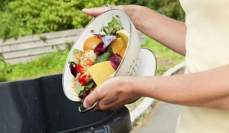 Cách đơn giản nhất để ngăn chặn biến đổi khí hậu, đến trẻ con cũng làm được! Cách đơn giản nhất để ngăn chặn biến đổi khí hậu, đến trẻ con cũng làm được!