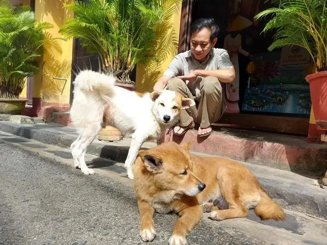 Hơn 1 tỷ đồng tài trợ để người Hội An nói không với thịt chó, mèo Hơn 1 tỷ đồng tài trợ để người Hội An nói không với thịt chó, mèo