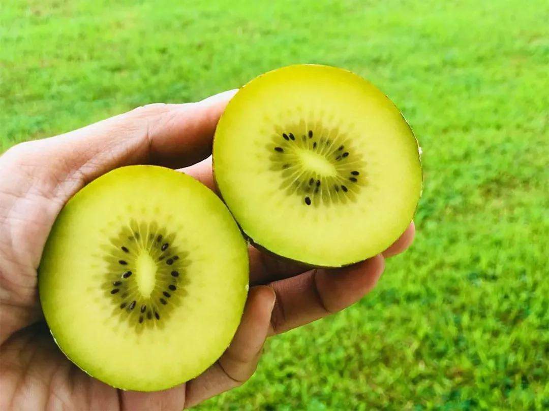 Bà bầu nên ăn quả gì để có thai kỳ khỏe mạnh? Bà bầu nên ăn quả gì để có thai kỳ khỏe mạnh?