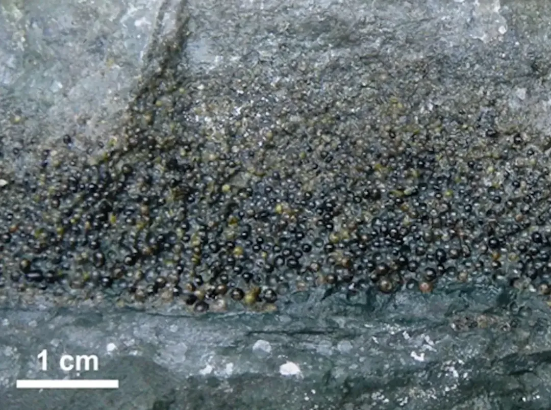 Tiểu hành tinh giết chết khủng long gây ra sóng thần cao hàng km và trận động đất lớn kéo dài một tháng Tiểu hành tinh giết chết khủng long gây ra sóng thần cao hàng km và trận động đất lớn kéo dài một tháng