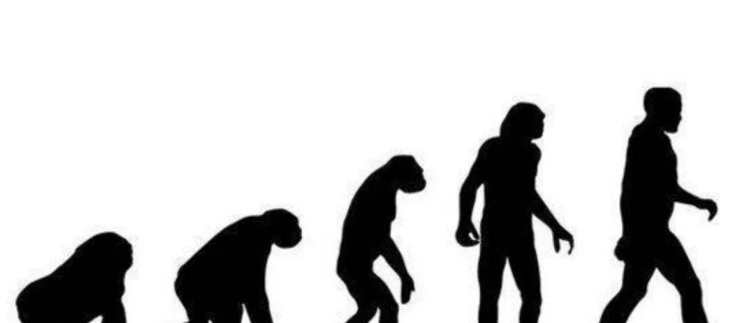 Những bức vẽ hang động 10.000 năm tuổi có thể tiết lộ một bí mật: Có phải Trái đất được thiết kế?  Những bức vẽ hang động 10.000 năm tuổi có thể tiết lộ một bí mật: Có phải Trái đất được thiết kế?