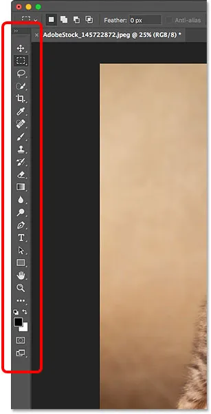 Làm quen với Photoshop. Những kiến thức cơ bản cho người mới bắt đầu Làm quen với Photoshop. Những kiến thức cơ bản cho người mới bắt đầu