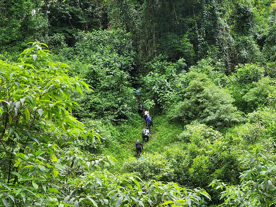 Hai ngày trekking hang Over và Pygmy khổng lồ vẫn còn ít người biết đến ở Quảng Bình Hai ngày trekking hang Over và Pygmy khổng lồ vẫn còn ít người biết đến ở Quảng Bình