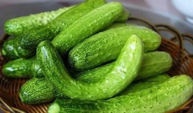 Một số thực phẩm ăn cùng với dưa chuột có thể gây đau bụng Một số thực phẩm ăn cùng với dưa chuột có thể gây đau bụng