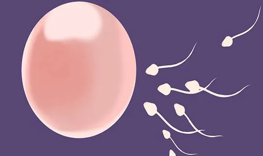 Tinh trùng sợ nhất 3 điều này, trong đó có một điều nhiều nam giới rất thích làm nhưng sau khi làm lại thường rất hối hận Tinh trùng sợ nhất 3 điều này, trong đó có một điều nhiều nam giới rất thích làm nhưng sau khi làm lại thường rất hối hận