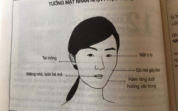 Tướng mặt phụ nữ phú quý, may mắn, hay tai quái, hiểm độc… Tướng mặt phụ nữ phú quý, may mắn, hay tai quái, hiểm độc…
