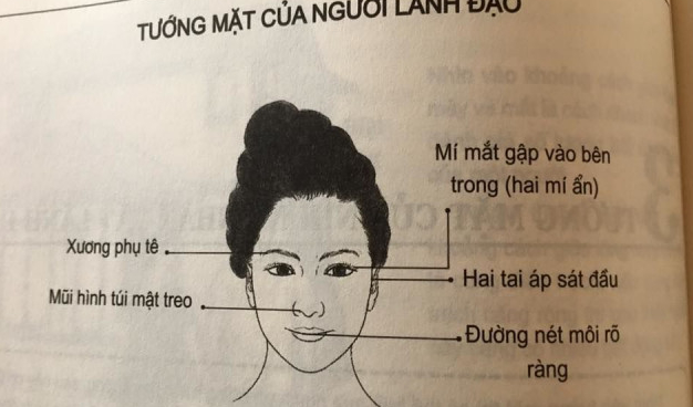 Tướng mặt phụ nữ phú quý, may mắn, hay tai quái, hiểm độc… Tướng mặt phụ nữ phú quý, may mắn, hay tai quái, hiểm độc…