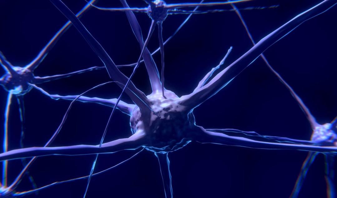 Tại sao não bộ là cơ quan tiêu thụ năng lượng nhiều nhất trong cơ thể? Tại sao não bộ là cơ quan tiêu thụ năng lượng nhiều nhất trong cơ thể?