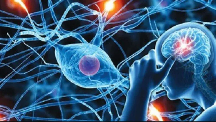 Một xét nghiệm DNA duy nhất có thể phát hiện các rối loạn thần kinh phổ biến Một xét nghiệm DNA duy nhất có thể phát hiện các rối loạn thần kinh phổ biến