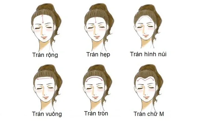 Xem tướng phụ nữ thông minh, thành công trong cuộc sống Xem tướng phụ nữ thông minh, thành công trong cuộc sống