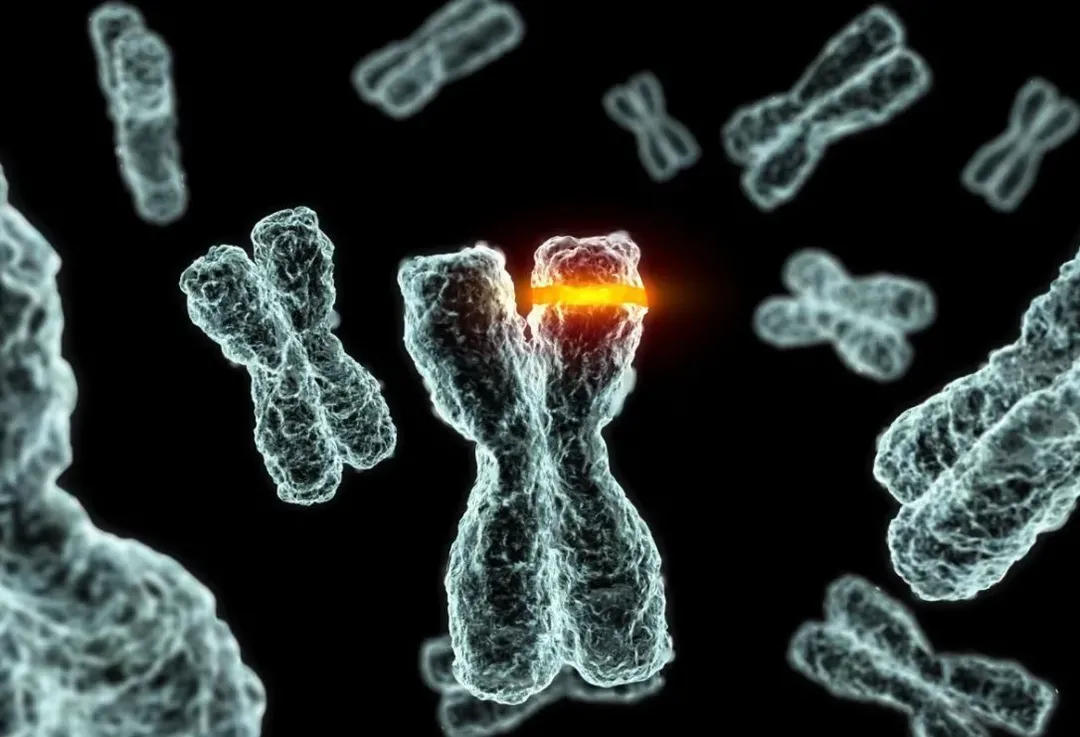 Giật mình chưa! Người phụ nữ 36 tuổi bị ung thư 12 lần, kết quả phân tích gen mang đến sự bất ngờ chưa từng thấy Giật mình chưa! Người phụ nữ 36 tuổi bị ung thư 12 lần, kết quả phân tích gen mang đến sự bất ngờ chưa từng thấy