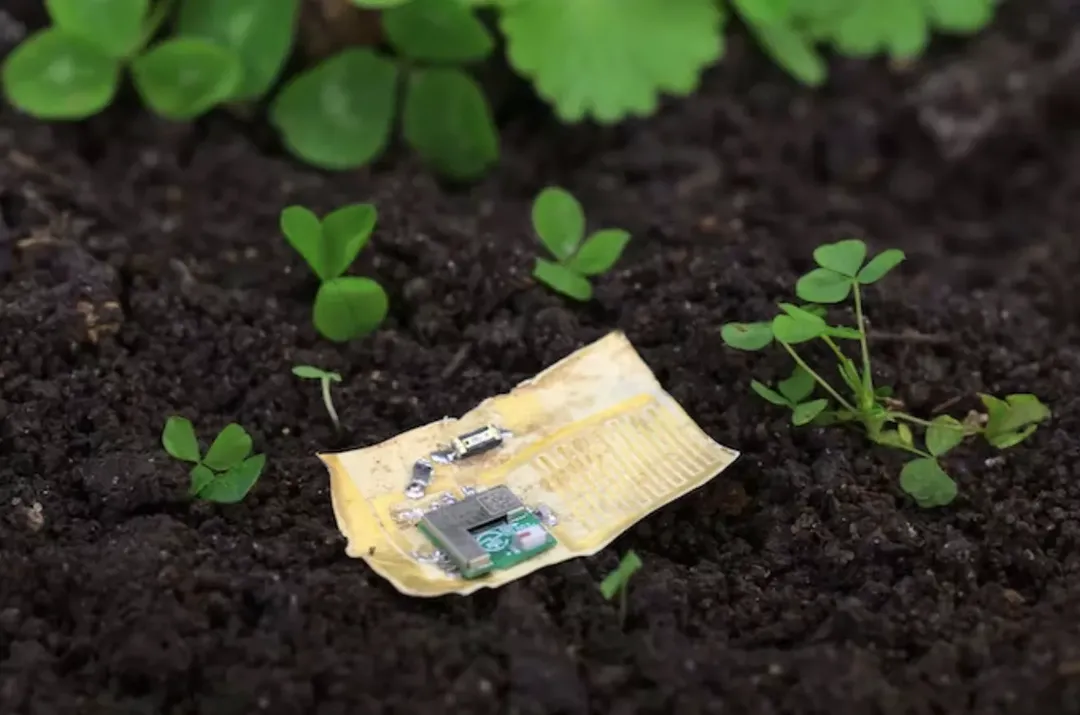 Điện thoại tương lai có thể được làm từ… nấm Điện thoại tương lai có thể được làm từ… nấm