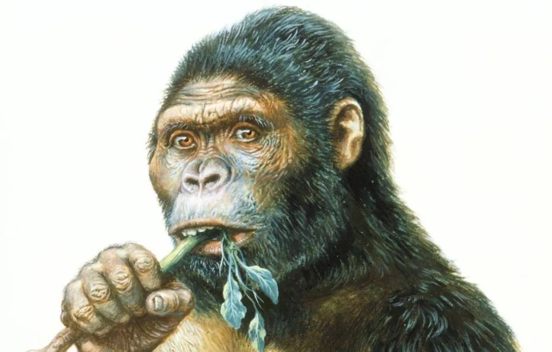 Những bức vẽ hang động 10.000 năm tuổi có thể tiết lộ một bí mật: Có phải Trái đất được thiết kế?  Những bức vẽ hang động 10.000 năm tuổi có thể tiết lộ một bí mật: Có phải Trái đất được thiết kế?