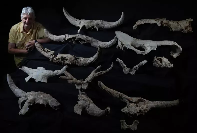 Phát hiện hang động trang trí bằng đầu lâu khổng lồ của người Neanderthal cổ đại Phát hiện hang động trang trí bằng đầu lâu khổng lồ của người Neanderthal cổ đại