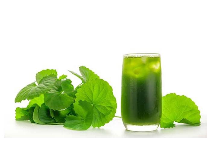 Nóng trong người nên uống gì để giải nhiệt? Những thức uống thanh mát giúp bạn giải nhiệt cơ thể Nóng trong người nên uống gì để giải nhiệt? Những thức uống thanh mát giúp bạn giải nhiệt cơ thể
