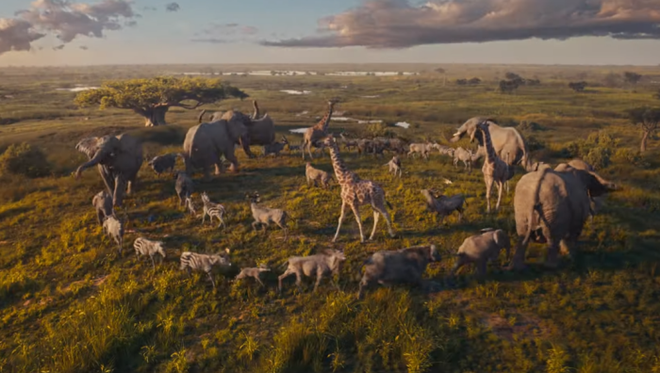 Disney tiếp tục “vắt sữa”, tung teaser đầu tiên của live action “Mufasa: The Lion King”, hé lộ quá khứ của Vua Sư Tử Disney tiếp tục “vắt sữa”, tung teaser đầu tiên của live action “Mufasa: The Lion King”, hé lộ quá khứ của Vua Sư Tử