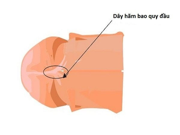 Bác sĩ nam khoa chỉ cách xử trí một số tai nạn dễ gặp với 'cậu nhỏ' Bác sĩ nam khoa chỉ cách xử trí một số tai nạn dễ gặp với 'cậu nhỏ'