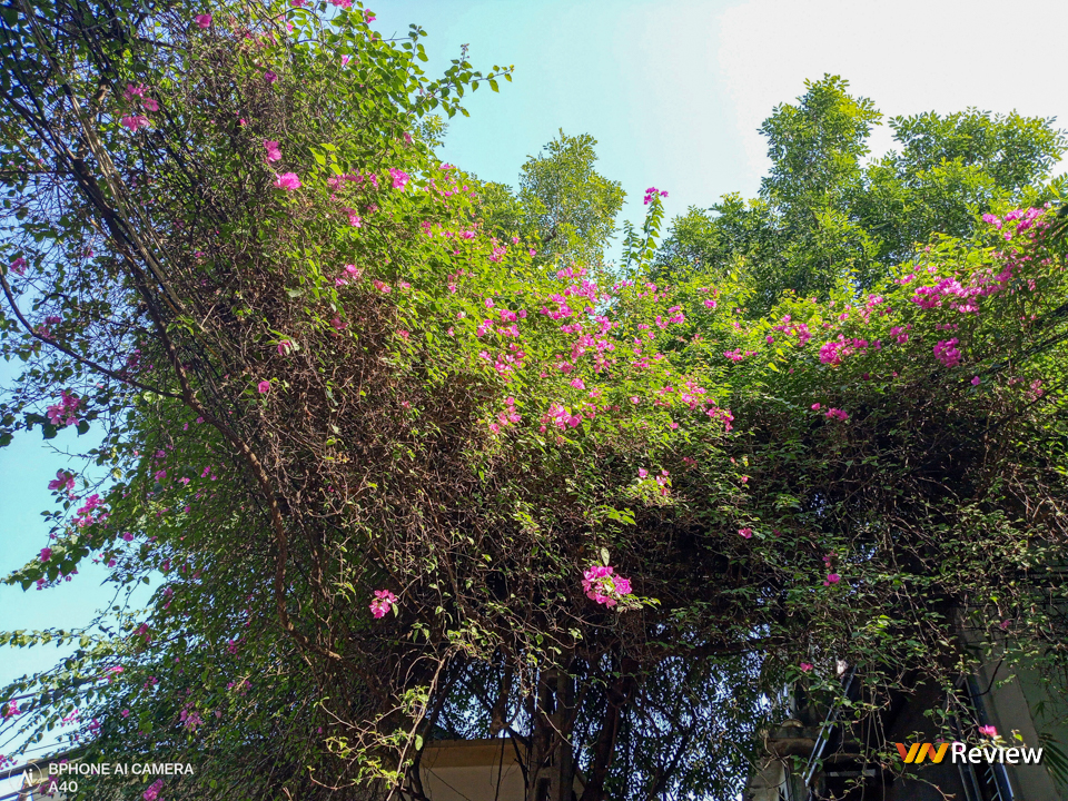 Mở hộp Bphone A60: “Smartphone quốc dân” mới của Bkav có gì? Mở hộp Bphone A60: “Smartphone quốc dân” mới của Bkav có gì?