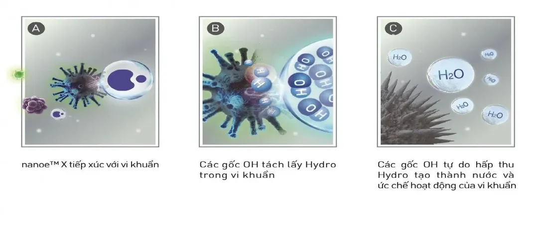 VNReview.vn VNReview.vn