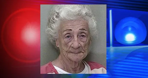 Cụ bà 83 tuổi huấn luyện 65 chú mèo đi ăn trộm đồ trang sức, có gia đình thiệt hại 14 tỷ đồng Cụ bà 83 tuổi huấn luyện 65 chú mèo đi ăn trộm đồ trang sức, có gia đình thiệt hại 14 tỷ đồng