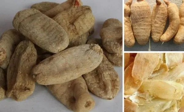 16 cách nấu cơm khác thường, vừa lạ miệng vừa tốt cho sức khoẻ 16 cách nấu cơm khác thường, vừa lạ miệng vừa tốt cho sức khoẻ