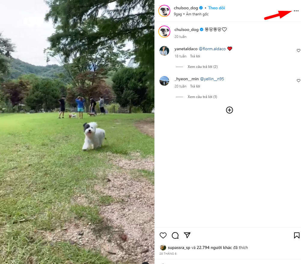 Tải video instagram đơn giản không phải ai cũng biết Tải video instagram đơn giản không phải ai cũng biết