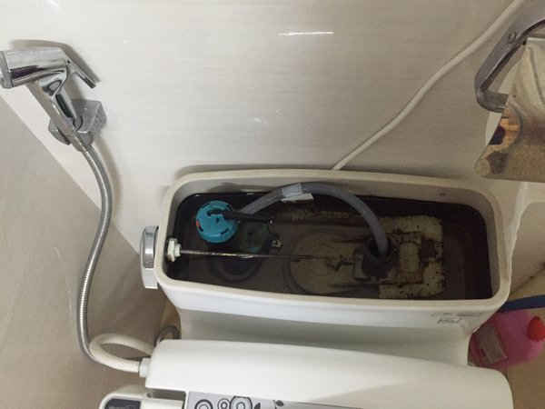 Bồn cầu bị vàng: Nguyên nhân và cách xử lý Bồn cầu bị vàng: Nguyên nhân và cách xử lý