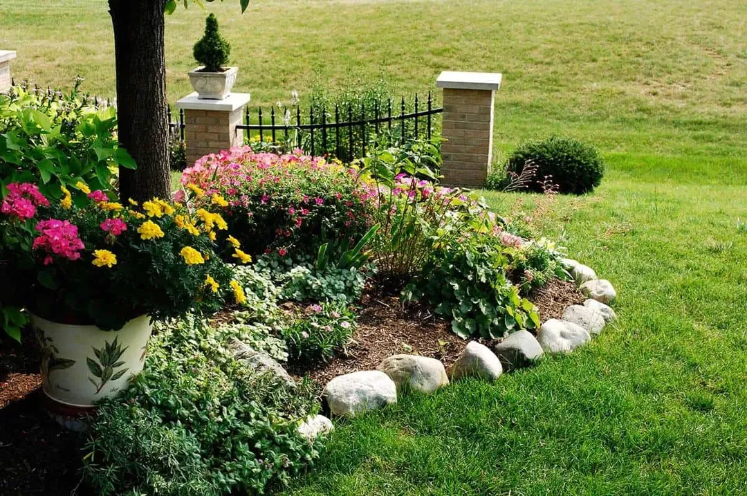 Cách diệt cỏ dại hữu hiệu mà không làm chết hoa Cách diệt cỏ dại hữu hiệu mà không làm chết hoa