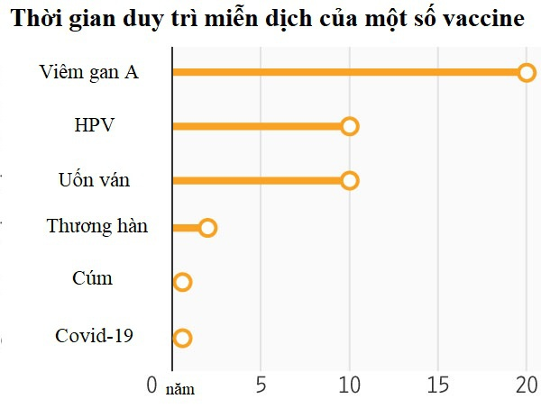 Vì sao vaccine Covid-19 không có hiệu quả trọn đời? Vì sao vaccine Covid-19 không có hiệu quả trọn đời?