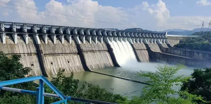 Các loài “Đại miêu” bị đe dọa vì đập thủy điện ngày càng nhiều Các loài “Đại miêu” bị đe dọa vì đập thủy điện ngày càng nhiều