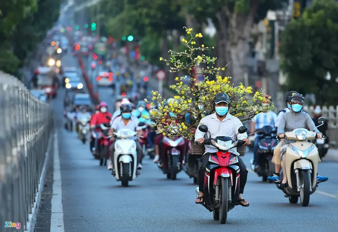 Bỏ việc sau Tết Bỏ việc sau Tết
