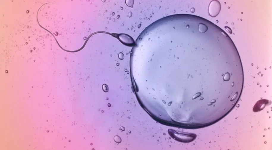 Thuốc chống virus có thể giúp “trẻ hóa” những quả trứng già ở phụ nữ? Thuốc chống virus có thể giúp “trẻ hóa” những quả trứng già ở phụ nữ?