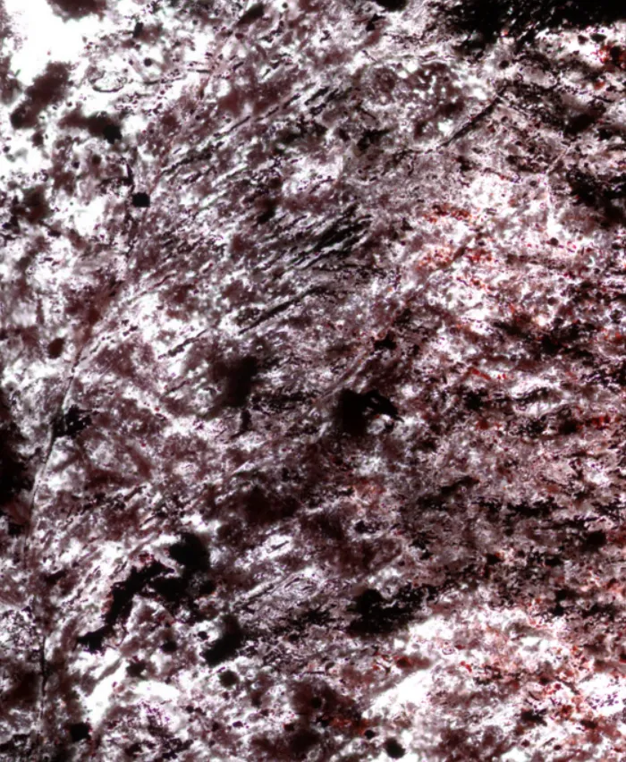 Sự sống trên Trái Đất có thể đã xuất hiện cách đây 4,3 tỷ năm Sự sống trên Trái Đất có thể đã xuất hiện cách đây 4,3 tỷ năm