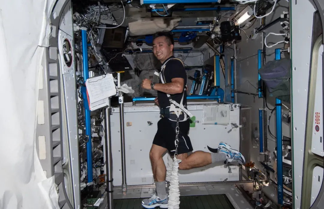 6 tháng ngoài vũ trụ, cột sống phi hành gia trở nên bất thường 6 tháng ngoài vũ trụ, cột sống phi hành gia trở nên bất thường