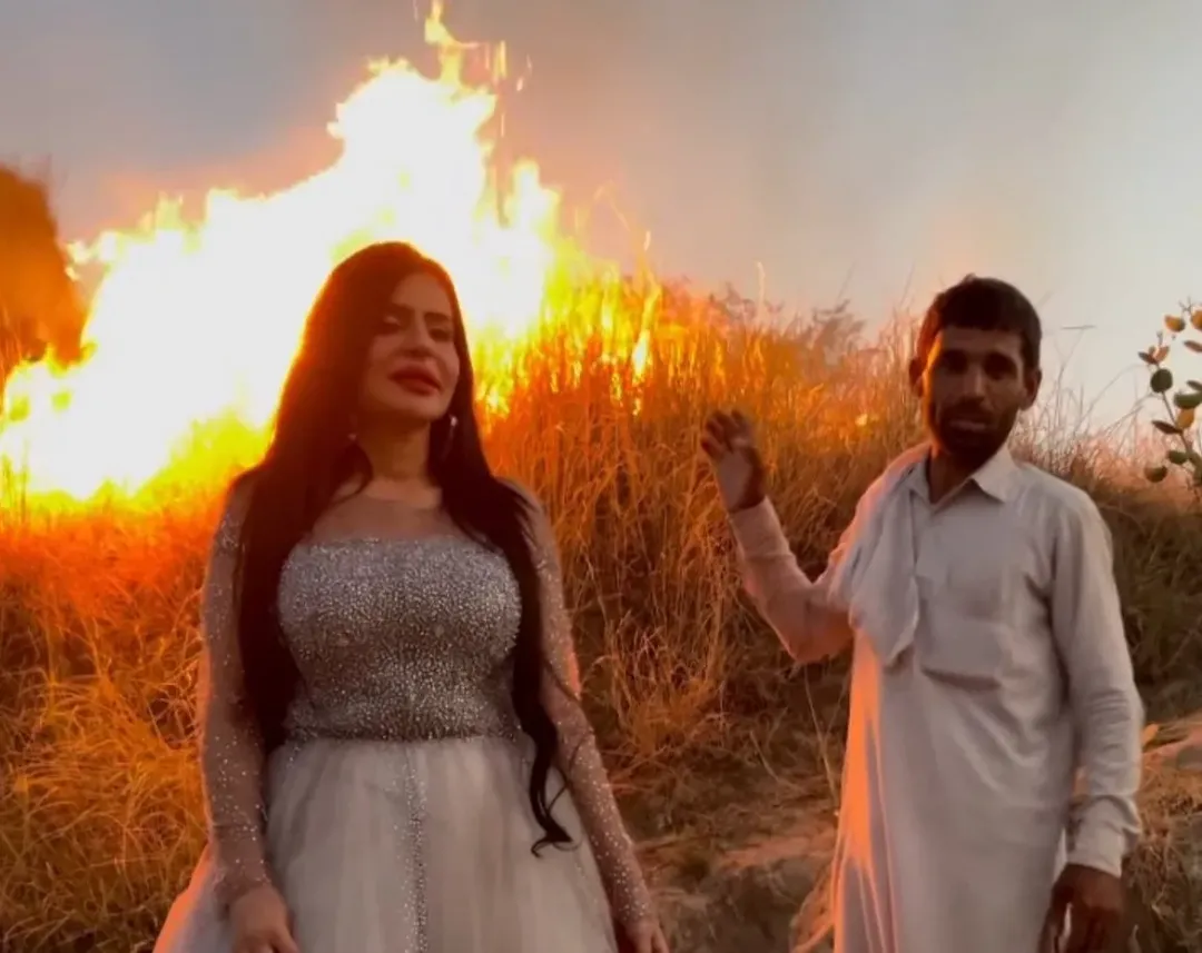 Tiktoker bị tố đốt rừng để làm video câu view Tiktoker bị tố đốt rừng để làm video câu view