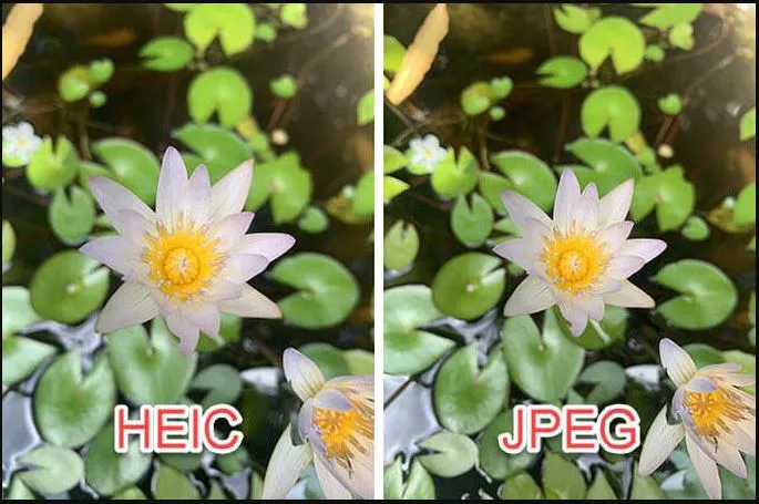 VNReview.vn VNReview.vn