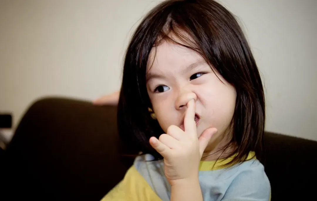 Hành động ngoáy mũi dưới góc nhìn khoa học thực sự nguy hiểm như thế nào? Hành động ngoáy mũi dưới góc nhìn khoa học thực sự nguy hiểm như thế nào?